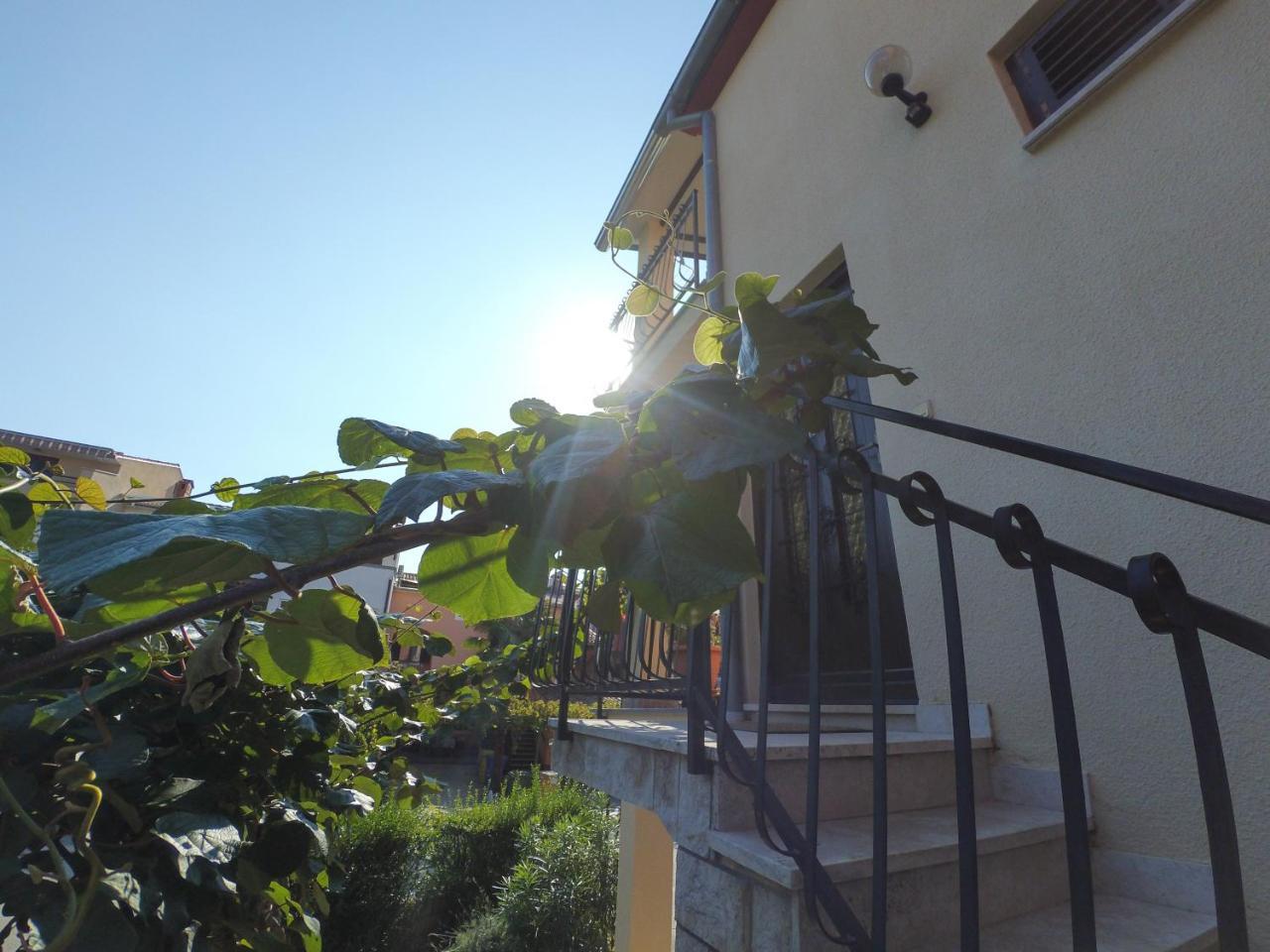 Apartment Exclusive Annex Rovinj Zewnętrze zdjęcie